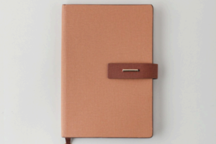 Diaries