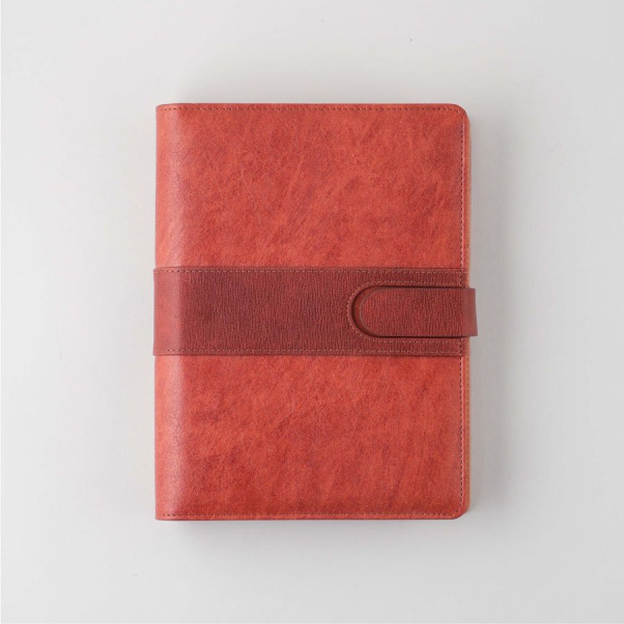 Premium Organizer Diary V-410