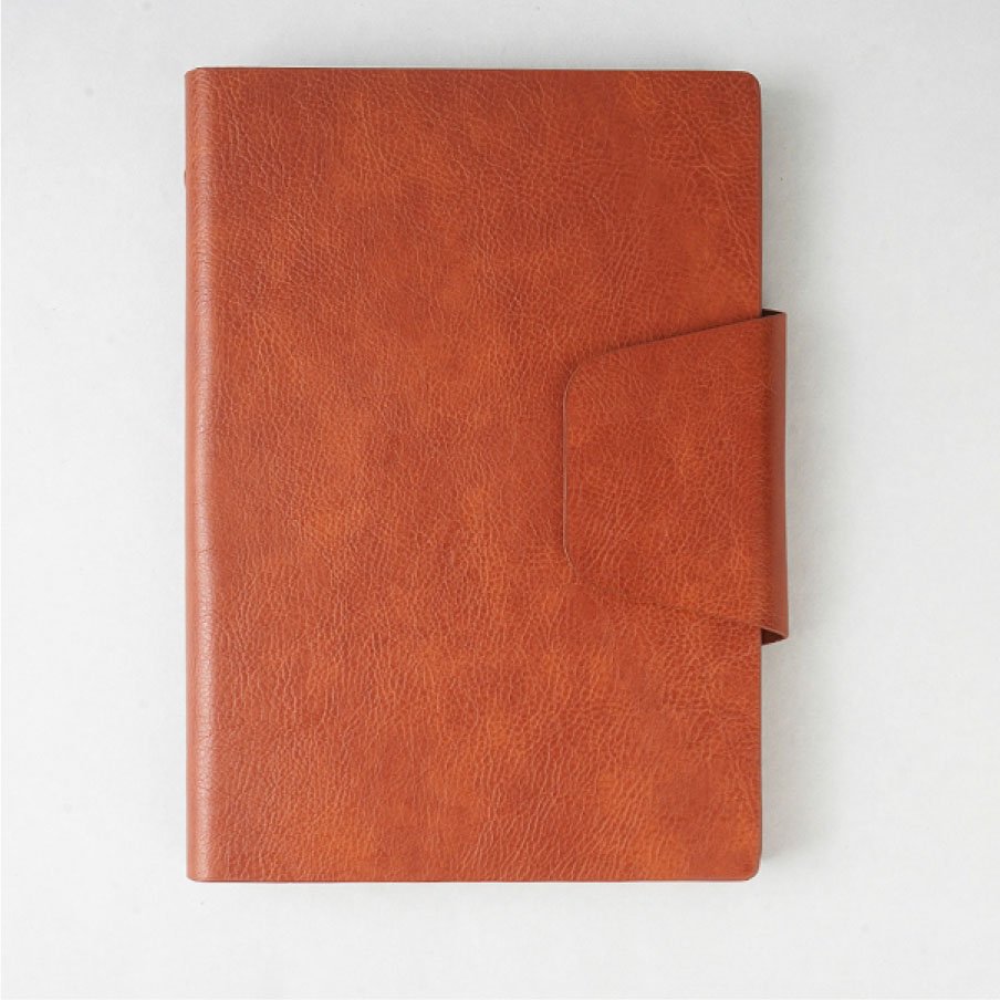 Premium Organizer Diary V-416