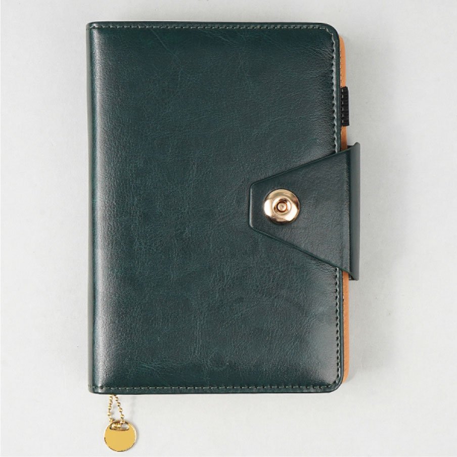 Premium Organizer Diary V-406