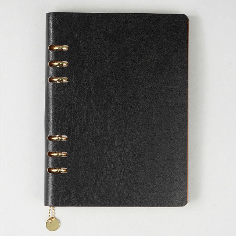 Premium Organizer Diary V-419